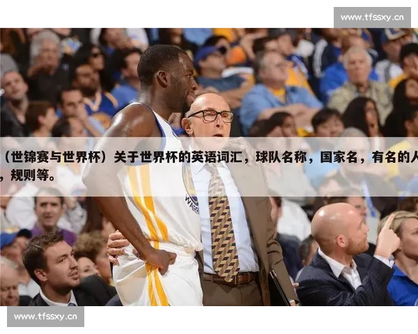 深入分析体育赛事走势与球队策略变化对比赛结果的影响