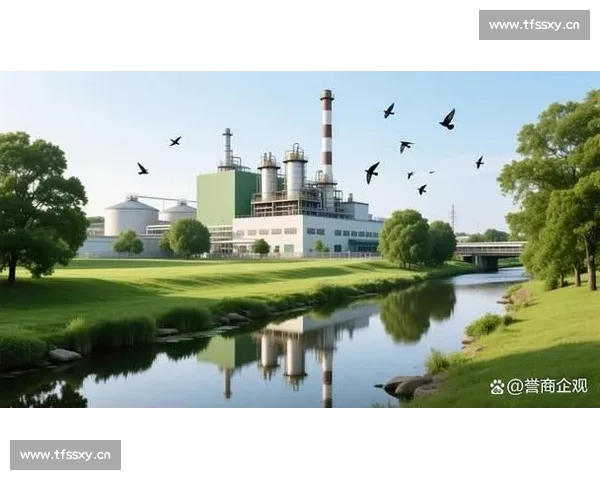 中国体育崛起之路：从传统竞技到现代化发展全景解析